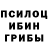 Псилоцибиновые грибы прущие грибы Yassine Nejjay