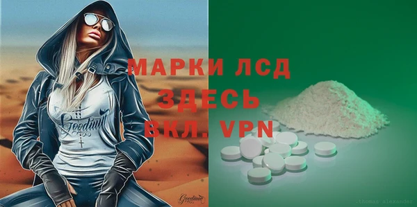 прущие грибы Долгопрудный