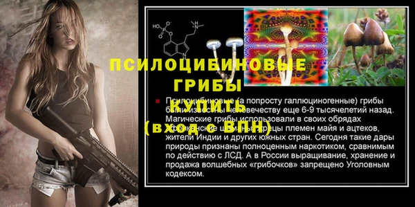 apvp Армянск