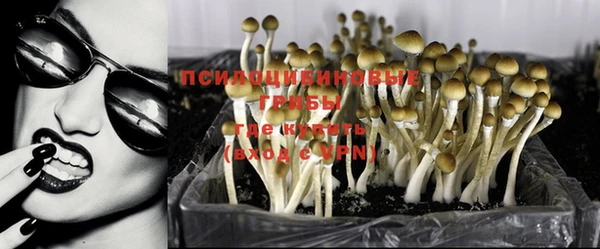 мескалин Арсеньев