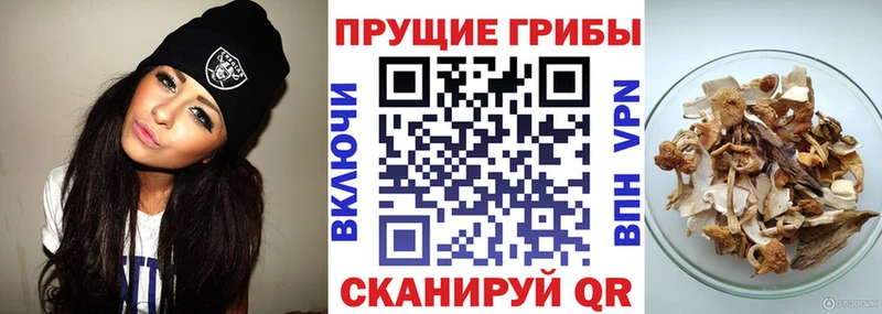Псилоцибиновые грибы мухоморы что такое Новошахтинск