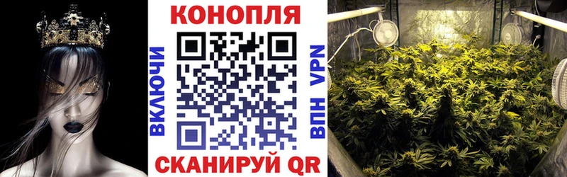 Марихуана конопля  Новошахтинск 